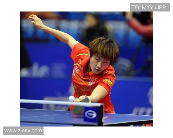 北京排球队灵活性展现出色大满贯点评分析其战术与表现